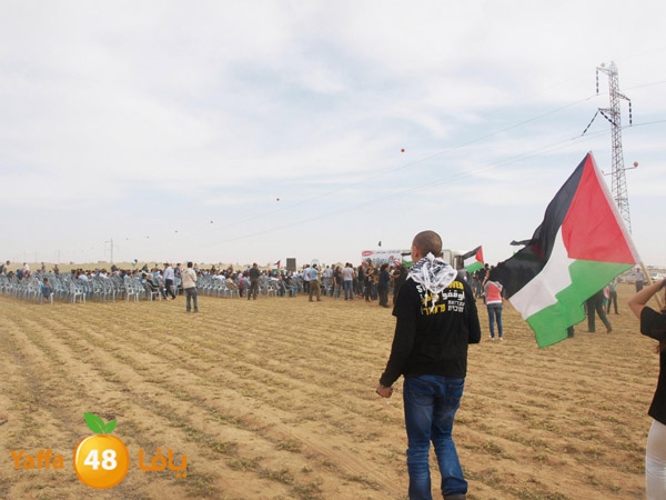 arddaynaqav331 (7).jpg